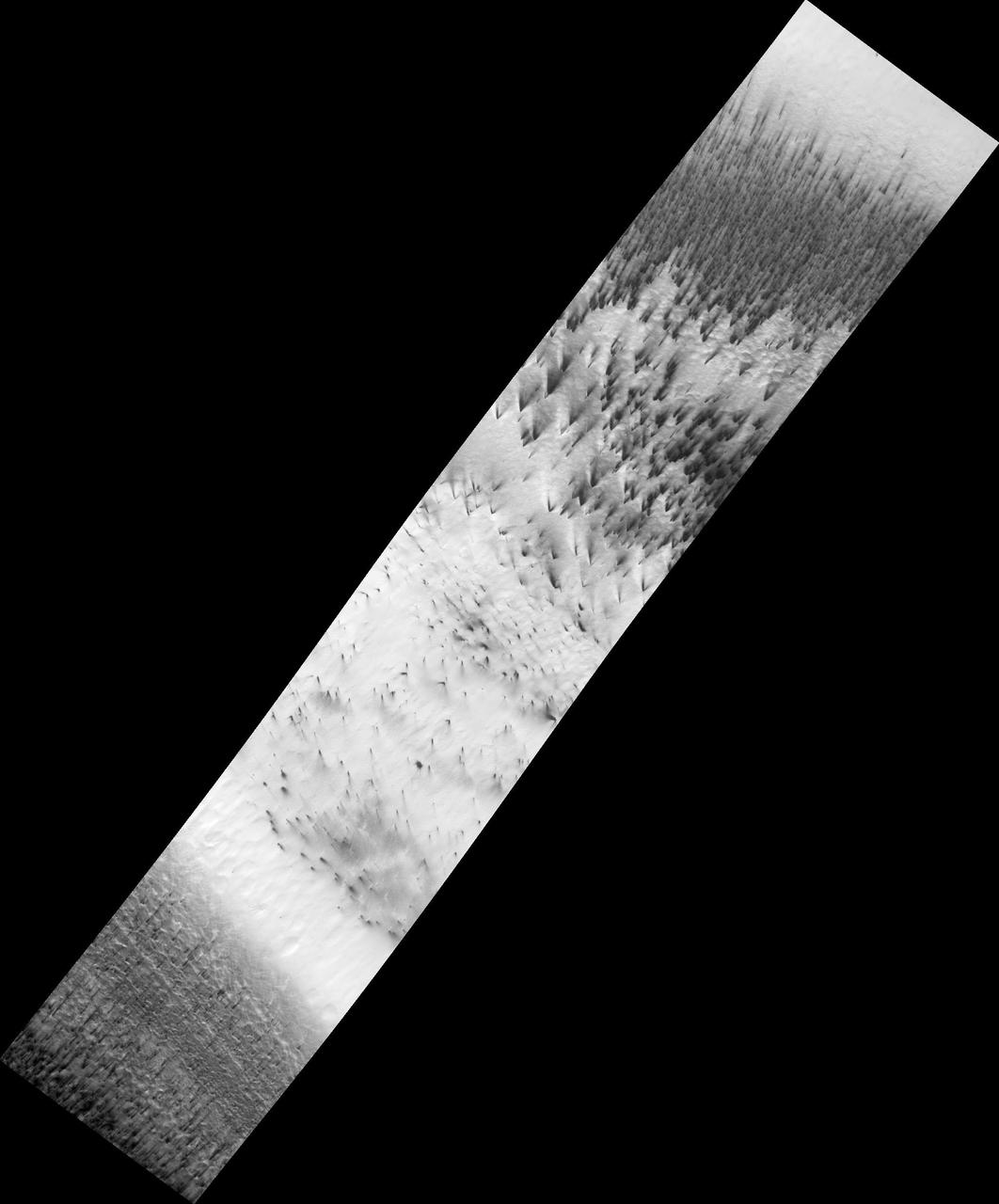 Dust Fans on the Seasonal Carbon Dioxide Polar Cap