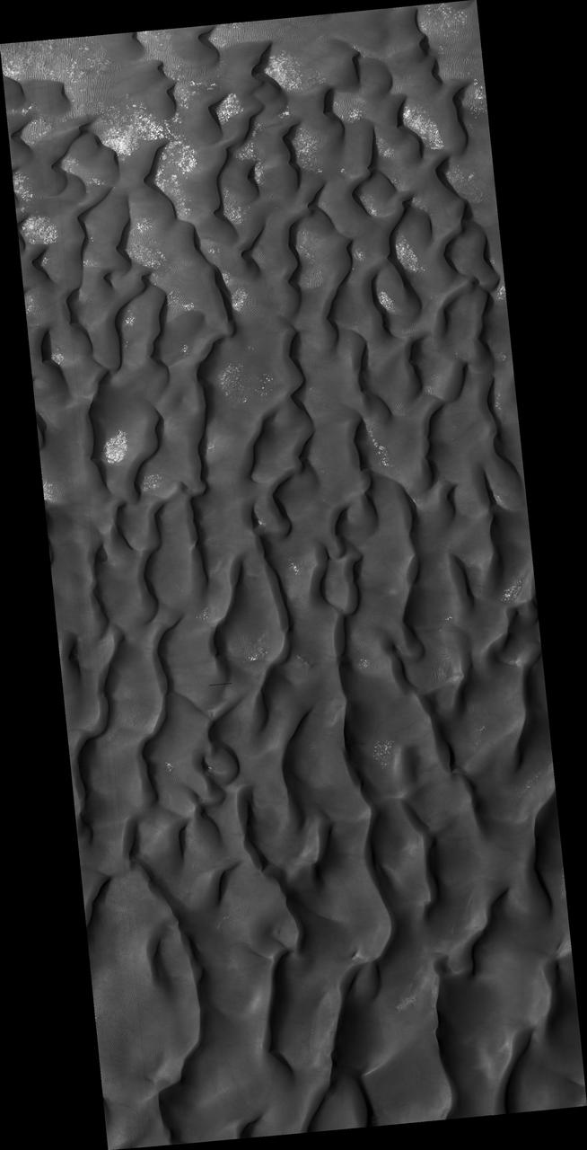 Kaiser Crater Dune Field