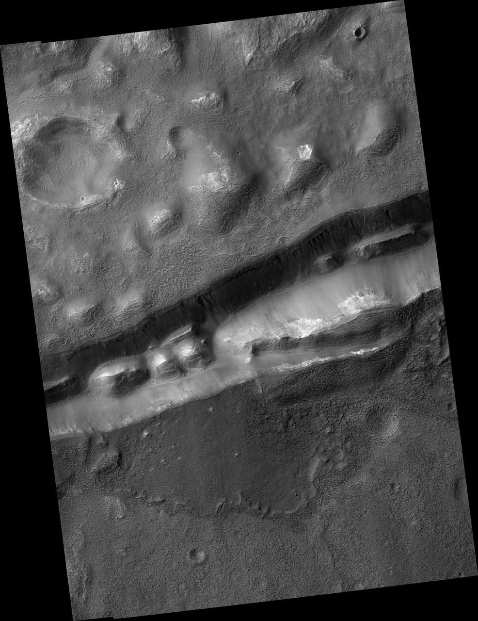 Gullies in Trough near Gorgonum Chaos