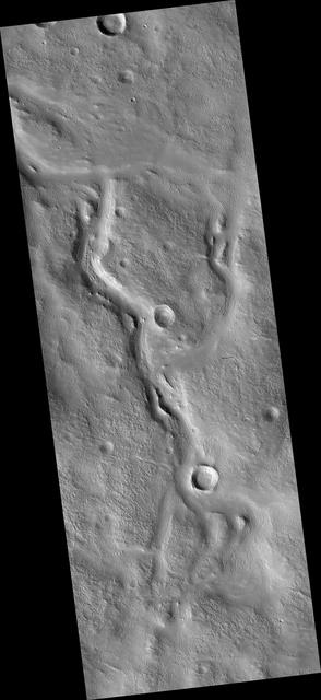 NASA image: Valleys on the Ejecta Blanket from Cerulli Crater