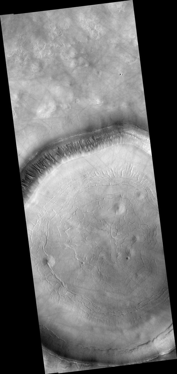 Signs of Fluids and Ice in Acidalia Planitia