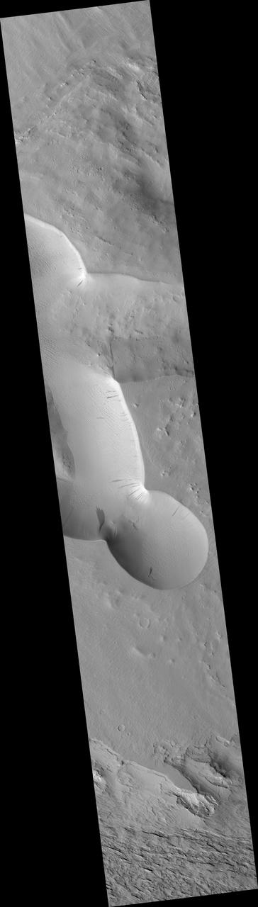 Slope Streak South of Olympus Mons