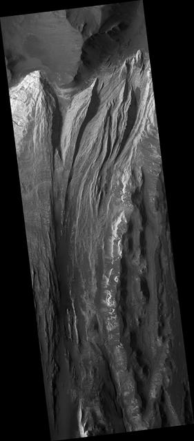 NASA image: Very Fine Layers in Juventae Chasma