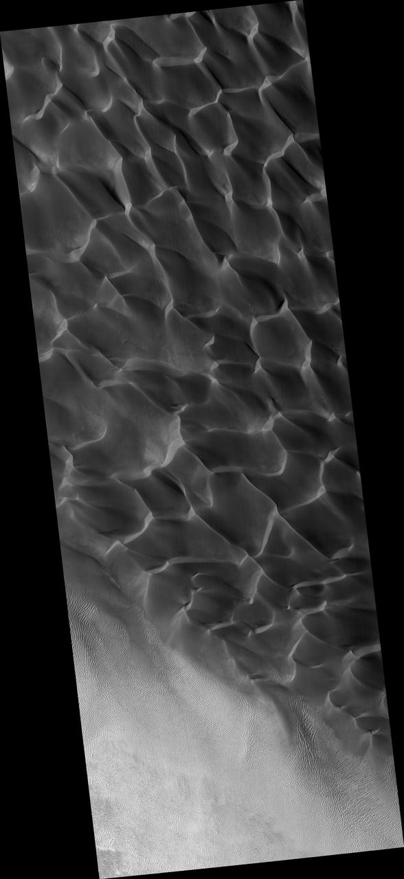 Sand Dunes in Rabe Crater