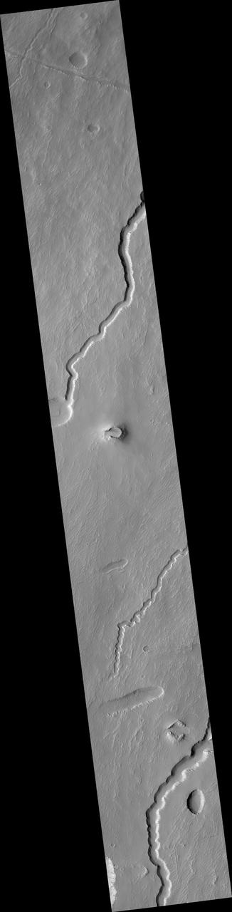 Possible Cinder Cone on the Southern Flank of Pavonis Mons