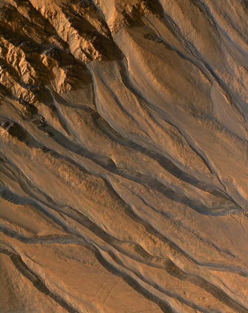 NASA image: Gullies with Characteristics of Water-Carved Channels