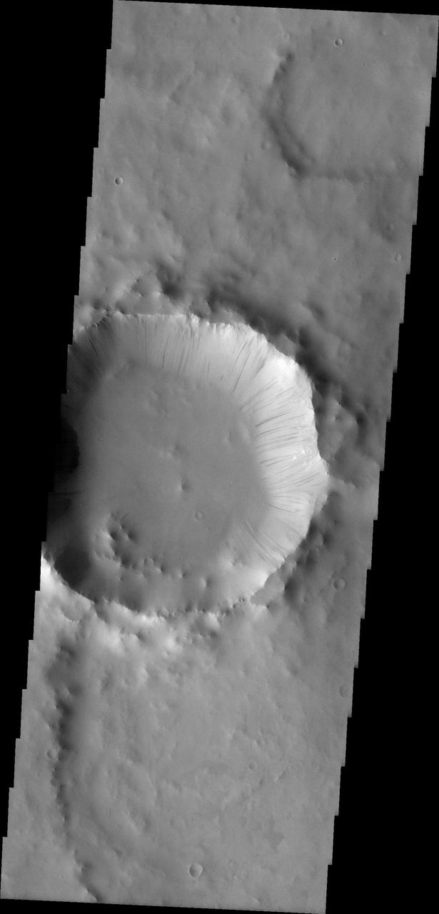 Dark Slope Streaks