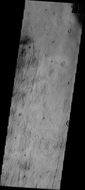 NASA image: Dust Devil Tracks