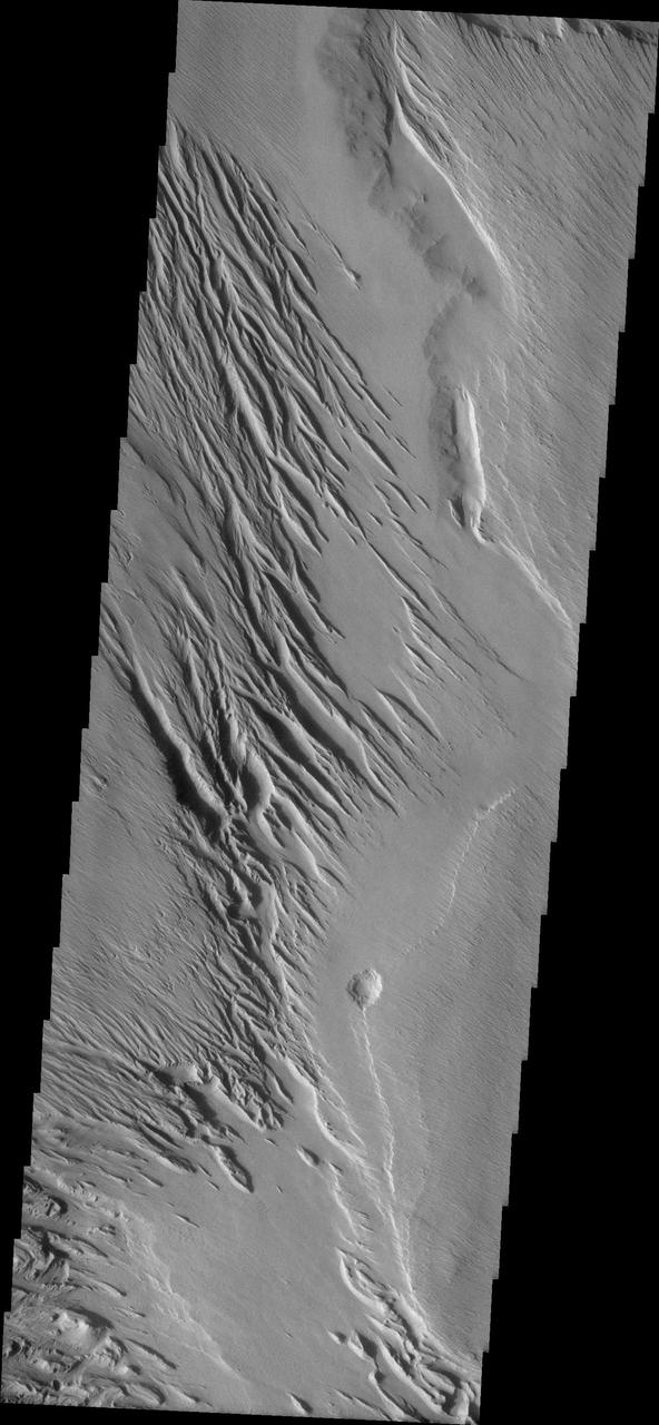 Medusa Fossae