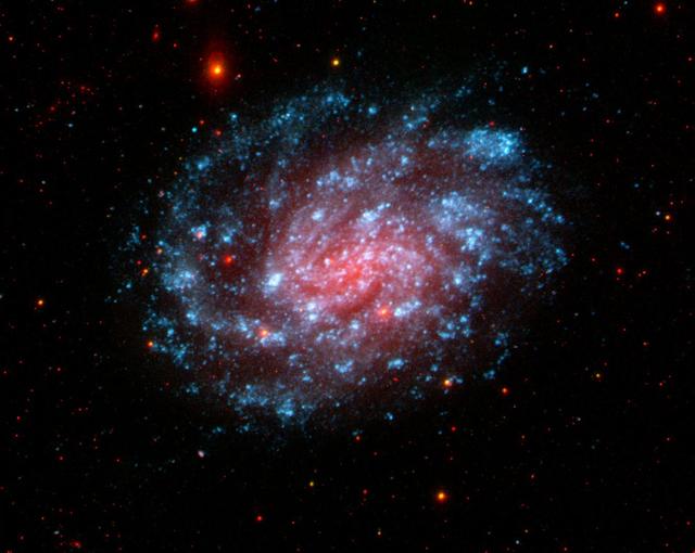 This image from NASA Galaxy Evolution Explorer shows the galaxy NGC 300, located about seven million light-years away in the constellation Sculptor. It is a classic spiral galaxy with open arms and vigorous star formation throughout.