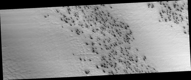 NASA image: Field of Fans