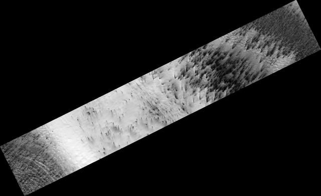 NASA image: Cryptic Terrain on Mars