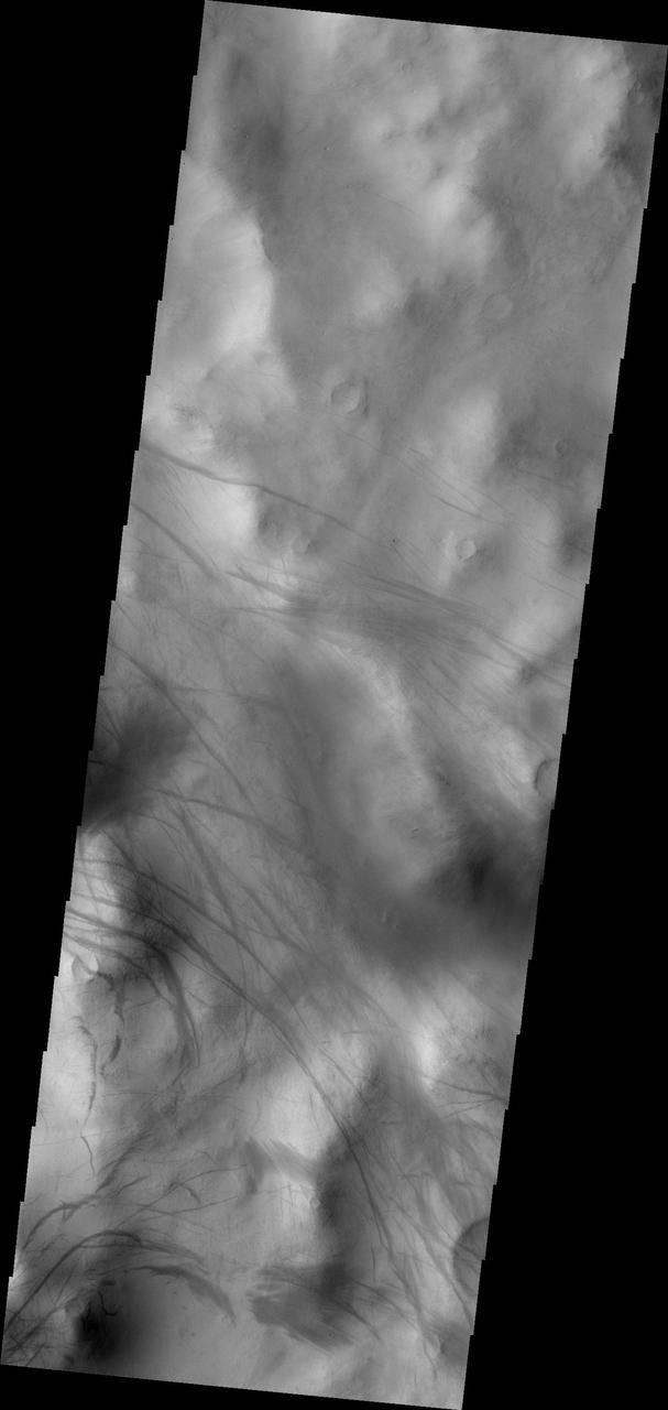 Dust Devil Tracks