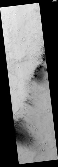 NASA image: Dust-Devil Tracks in Southern Schiaparelli Basin