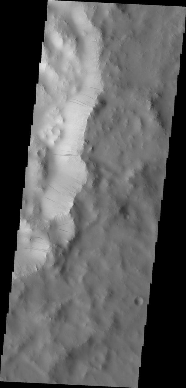 Dark Slope Streaks