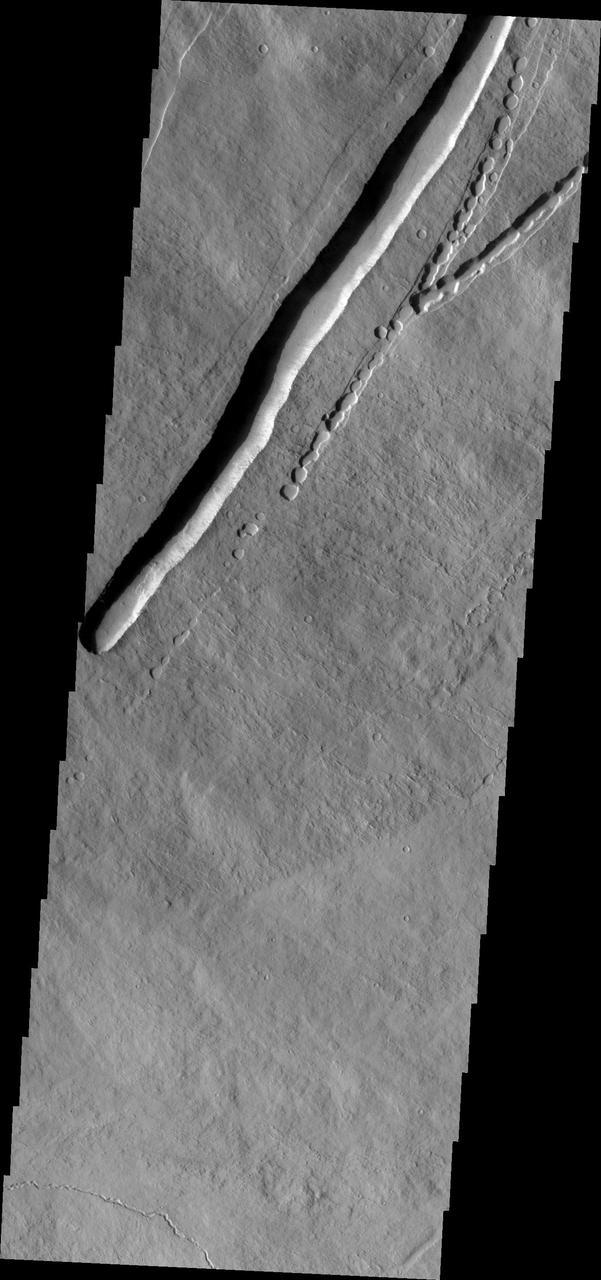 Pavonis Mons