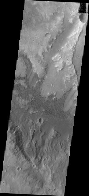 NASA image: Dunes