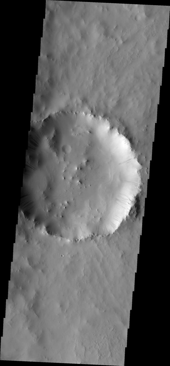 Dark Slope Streaks