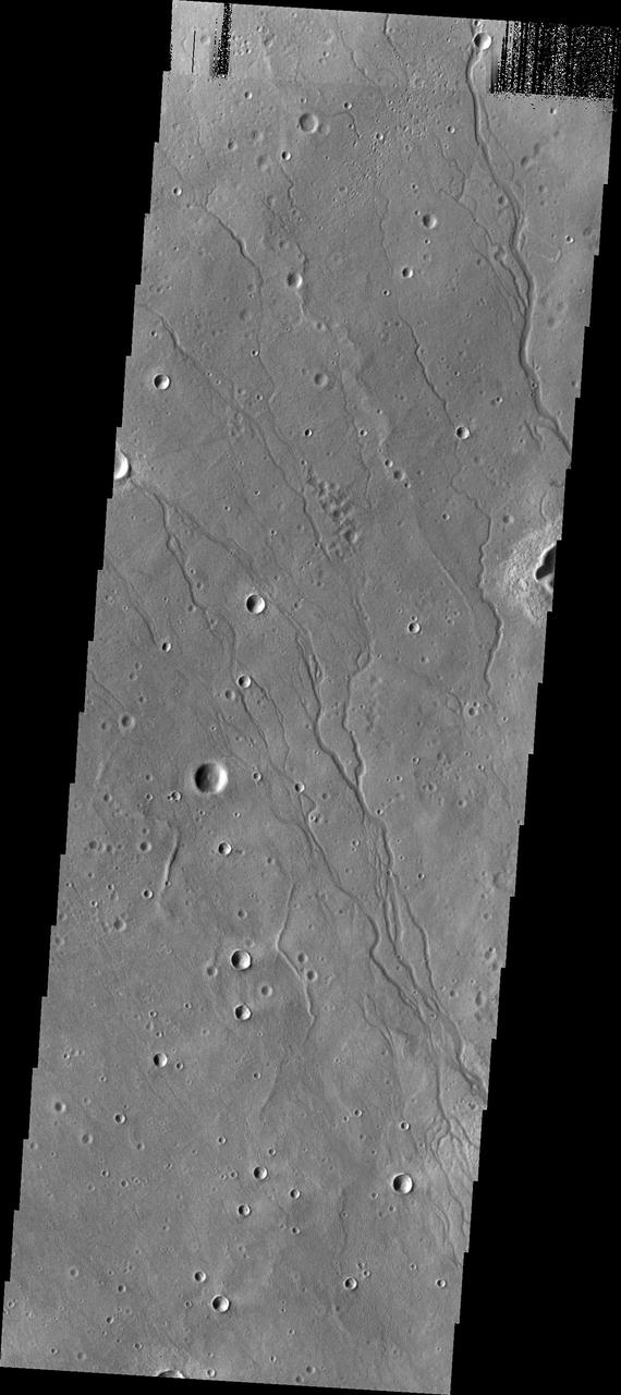 Newton Crater