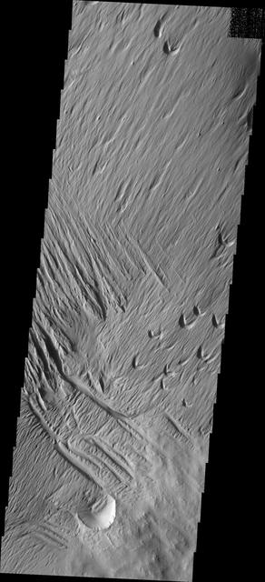 NASA image: Wind Action