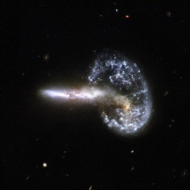 Arp 148 is nicknamed Mayall object and is located in the constellation of Ursa Major, the Great Bear, about 500 million light-years away. This image is part of a large collection of images of merging galaxies taken by NASA Hubble Space Telescope.