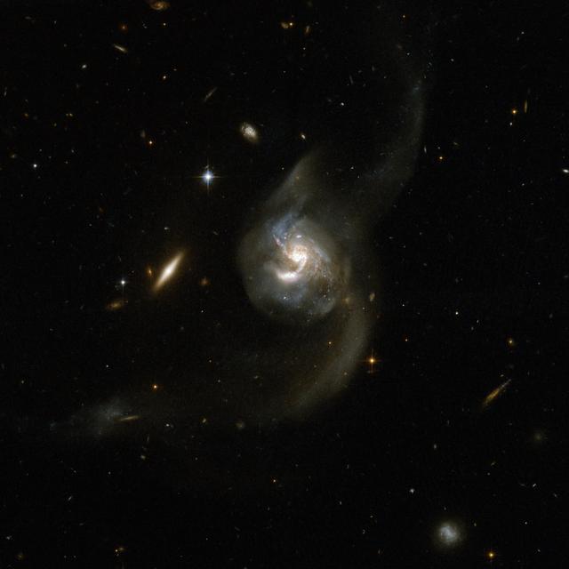 NASA image: NGC 6090 - a Pair of Spiral Galaxies