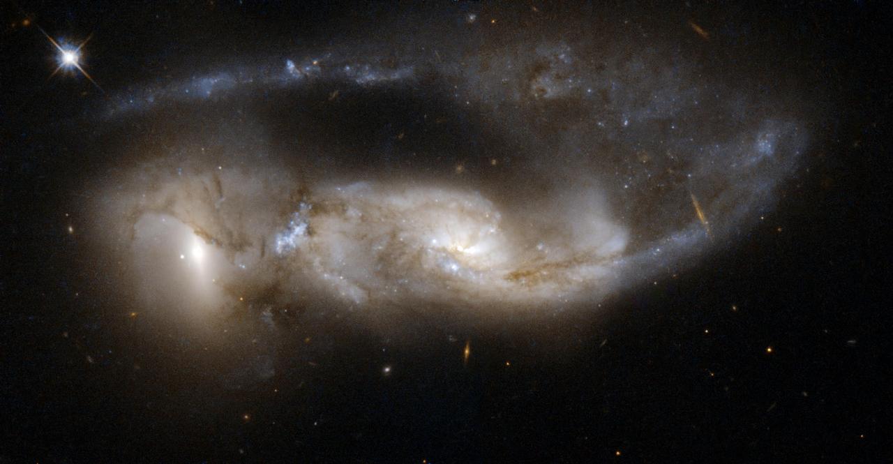 NGC 6621/2 VV 247, Arp 81 is a strongly interacting pair of galaxies, seen about 100 million years after their closest approach. This image is part of a large collection of images of merging galaxies taken by NASA Hubble Space Telescope.
