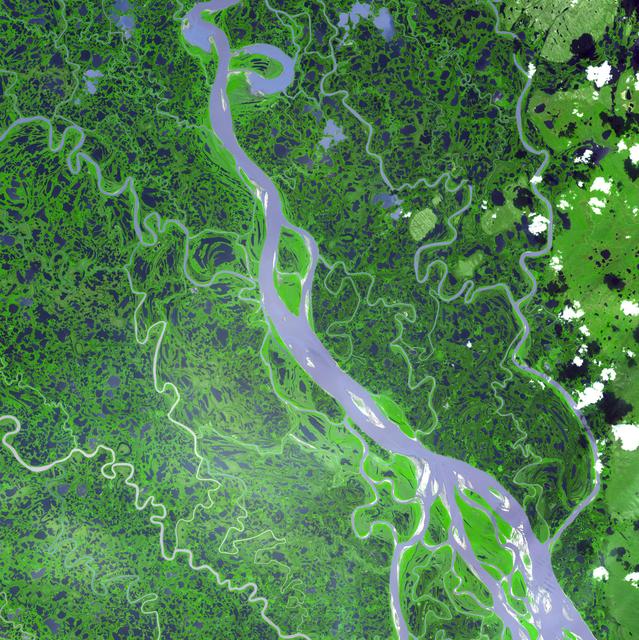 NASA image: Mackenzie River Delta, Canada