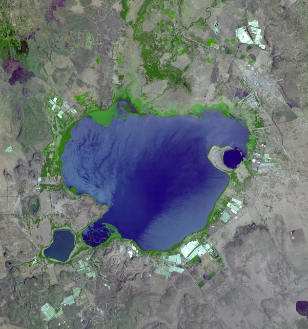 NASA image: Lake Naivasha, Kenya