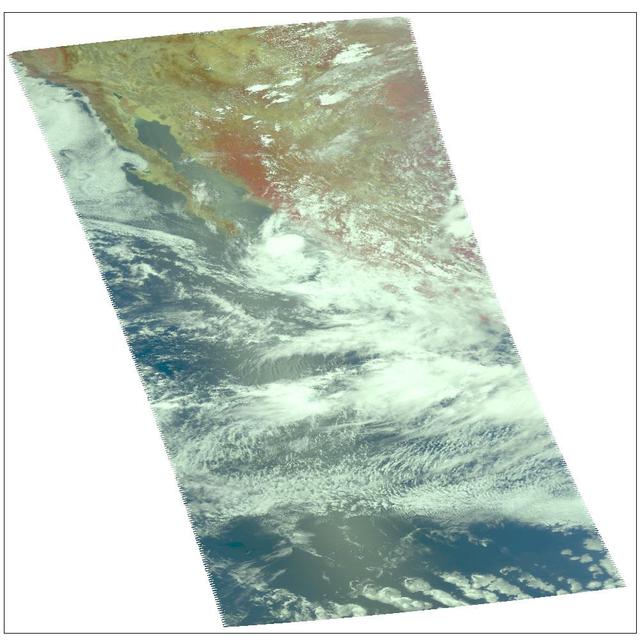 NASA image: Hurricane Dean