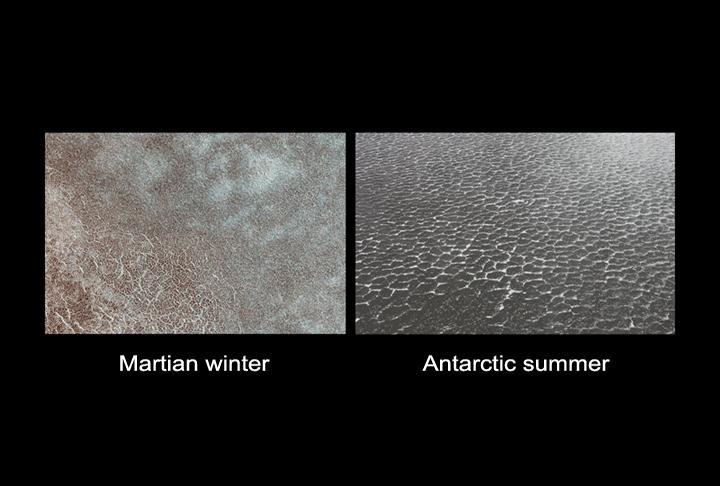 Polygon Patterned Ground on Mars and on Earth