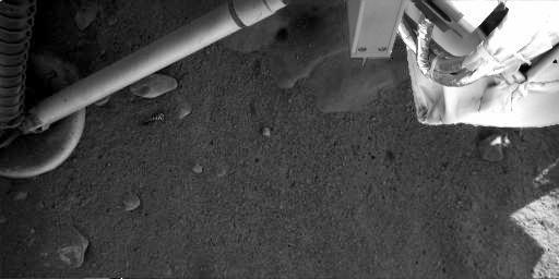 Mars surface beneath Phoenix lander