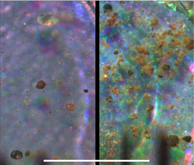 Microscopic Comparison of Airfall Dust to Martian Soil