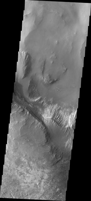 NASA image: Melas Chasma