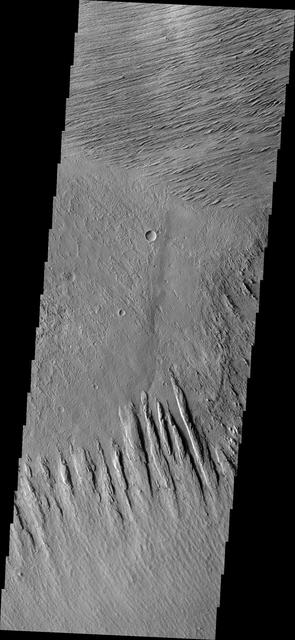 NASA image: Yardangs