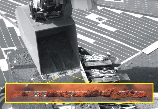 Rosy Red Soil in Scoop