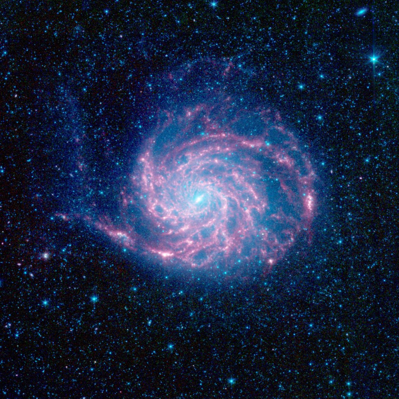 The tangled arms of the Pinwheel galaxy, otherwise known as Messier 101, are decked out in red in this new infrared image from NASA Spitzer Space Telescope.