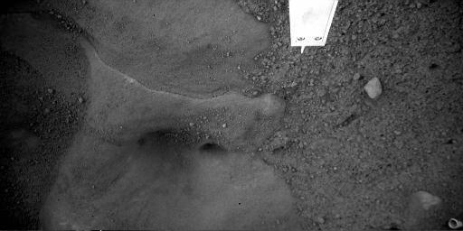 This image of Snow Queen, was taken by the Robotic Arm Camera RAC aboard NASA Phoenix Mars Lander.