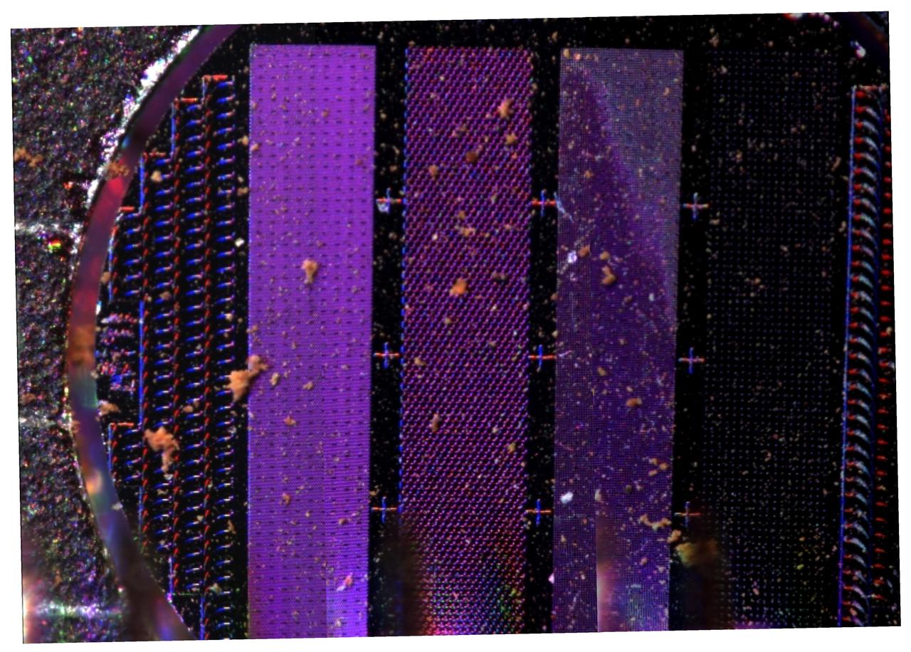 Martian Dust Collected by Phoenix Arm