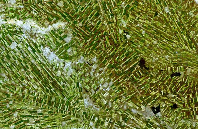 NASA image: Al Jazirah, Sudan