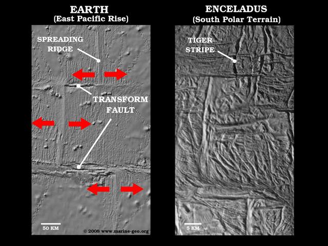 Spreading Ridge Transforms On Enceladus