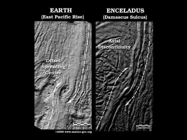 Enceladus Offset Spreading Center