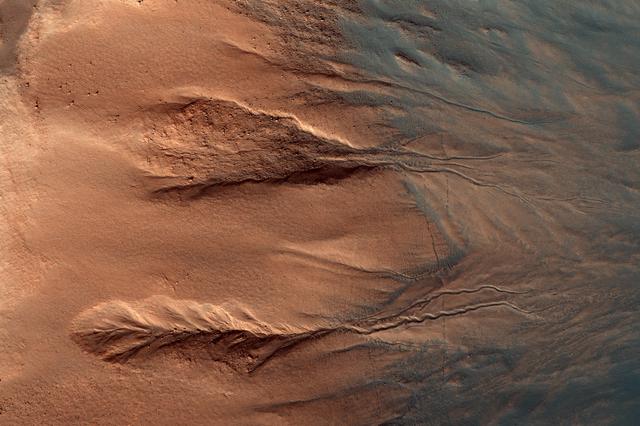 NASA image: The Contrasting Colors of Crater Dunes and Gullies