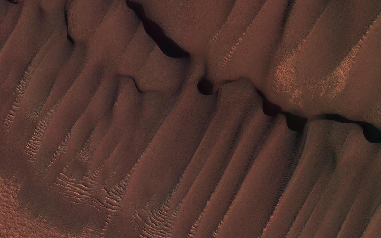 This dune field formed near the base of the North Polar cap. Dunes require a source of loose particulate material to form. The source of the northern dune fields around the polar cap may be from the layers of dusty ice that are eroded by strong polar winds.  This image was taken during the Martian northern summer, so there is no frost present on the dunes. The dunes closest to the base of the polar cap are long and parallel, indicating strong winds from the direction of the cap. As they get farther away from the polar cap, they start to form more crescent shaped dunes, called barchan dunes.  Repeated observations by HiRISE of dunes like these show measurable changes in some locations. This discovery adds to the growing evidence that there are active processes happening all over the surface of Mars today.  http://photojournal.jpl.nasa.gov/catalog/PIA11181