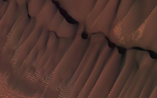 NASA image: Dunes in Northern Summer