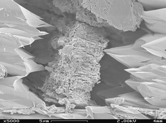 NASA image: Terrestrial Clay under Microscope