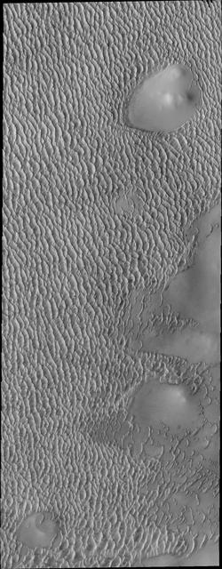 More Polar Dunes