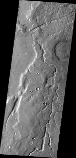 NASA image: Tempe Terra