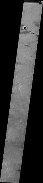NASA image: Daedalia Planum