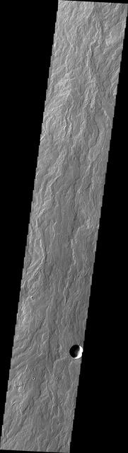 Daedalia Planum